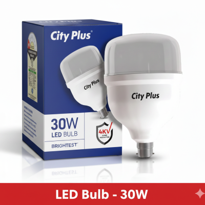 City Plus Premium 30W LED Bulb